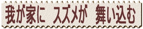 䂪ƂɁ@XY@