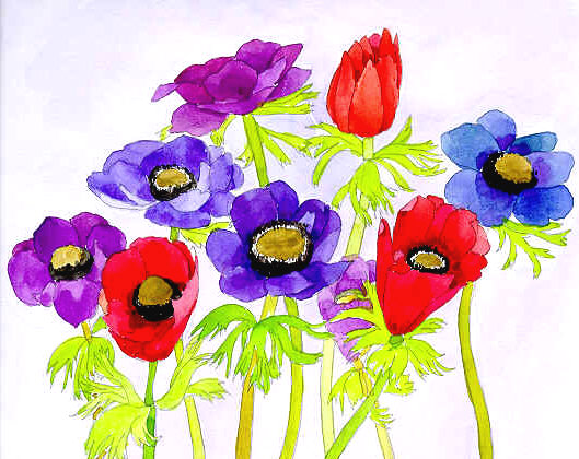 アネモネ Anemone 四季の草花スケッチ２８ 植物画 絵画 壁紙