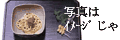 [�摜�\����]