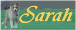 sarah-banner